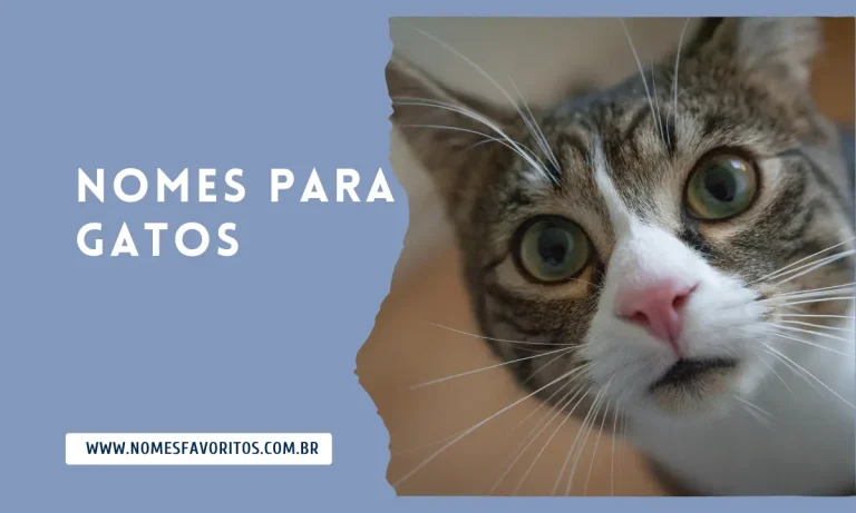 nomes para gatos