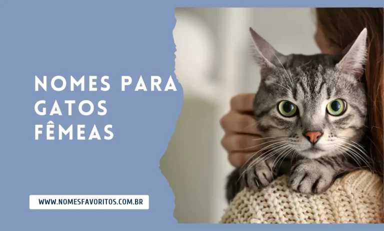 nomes para gatos femeas