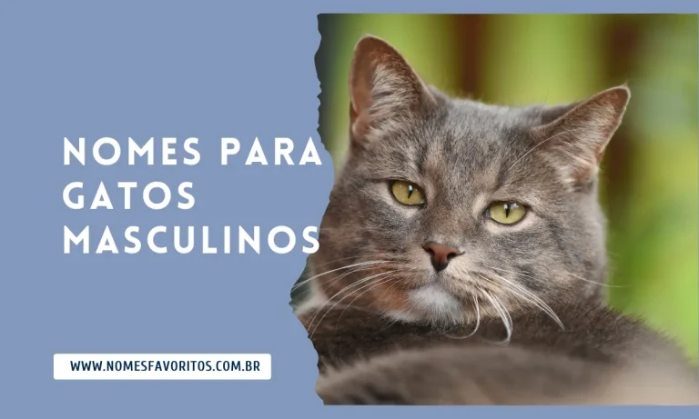 nomes para gatos masculinos