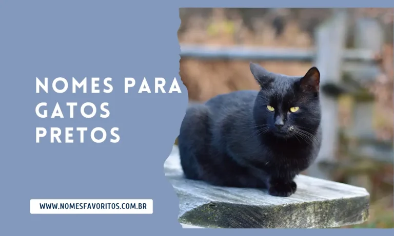 nomes para gatos pretos