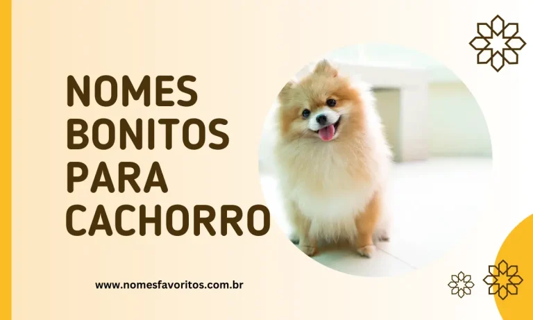 nomes bonitos para cachorro