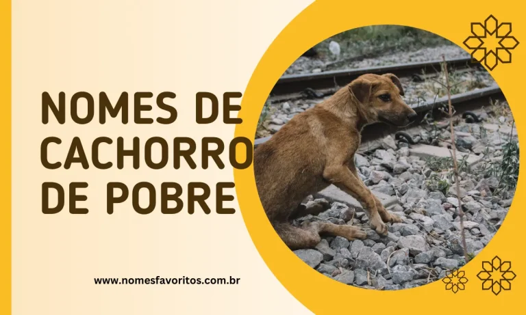 nomes de cachorro de pobre