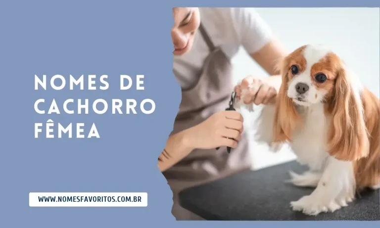 Nomes de cachorro fêmea