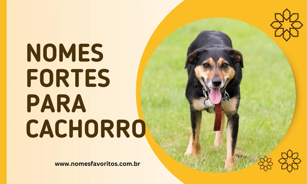 nomes fortes para cachorro