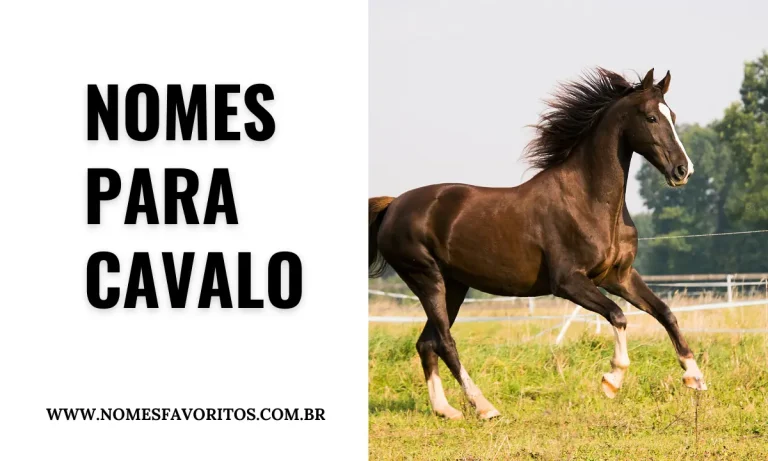 nomes para cavalos
