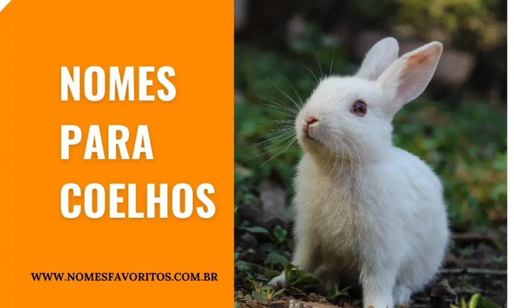 nomes para coelhos