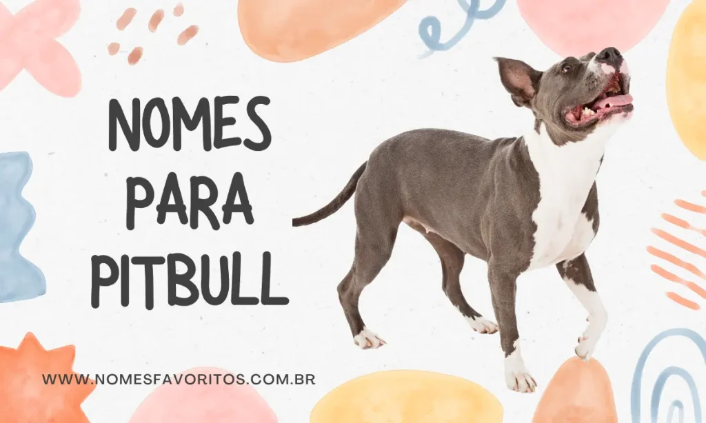 nomes para pitbull