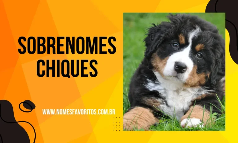 sobrenomes chiques