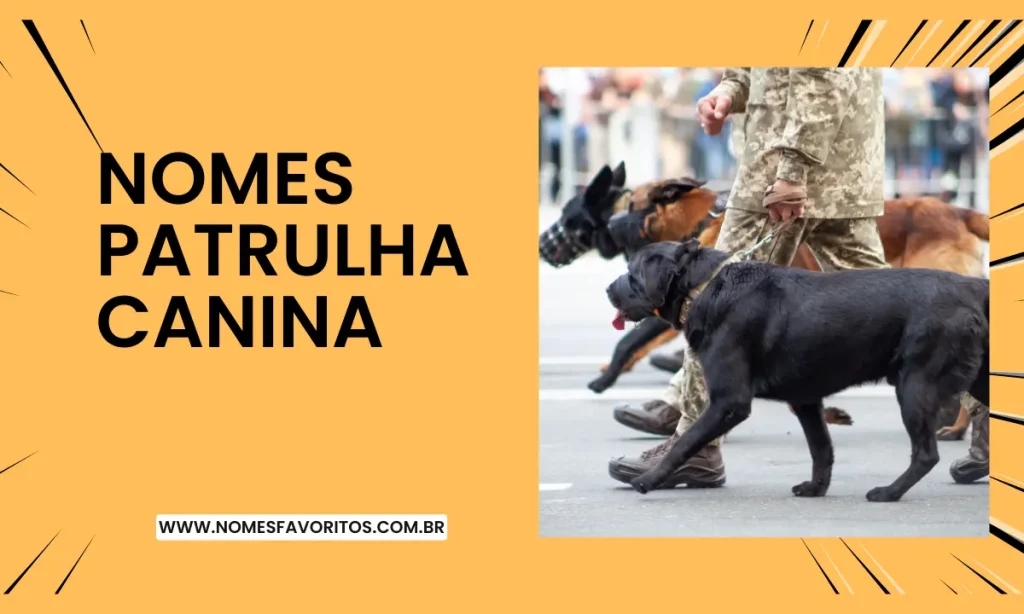nomes patrulha canina